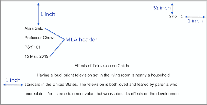 MLA header example